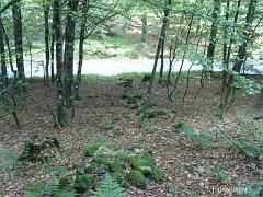 Cette limite régionale est très peu bornée sur la Haute-Moselle, seule la peinture rouge sur les arbres la mentionne